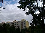 Borovina