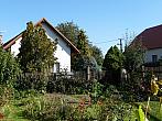 Třibřichy