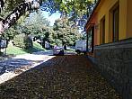 Borovina