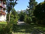 Borovina
