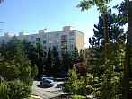 Borovina