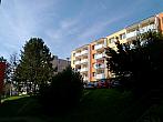Borovina