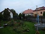 Třibřichy
