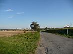 Třibřichy
