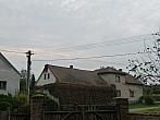 Třibřichy