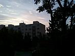 Borovina