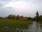Borovina