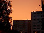 Borovina