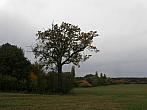 Dětenice-Brodek, okr. Jičín
