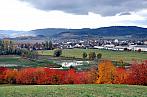 Město Albrechtice