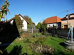 Třibřichy