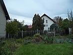 Třibřichy