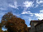 Borovina