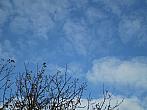Hostákov