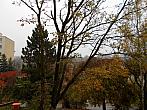 Borovina