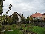 Třibřichy