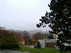 Borovina