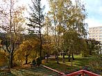 Borovina