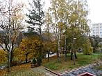 Borovina