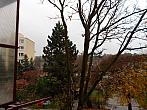 Borovina
