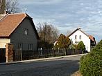 Třibřichy