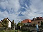 Třibřichy