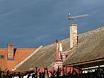 Třibřichy