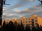 Borovina