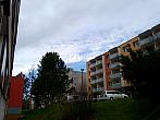 Borovina