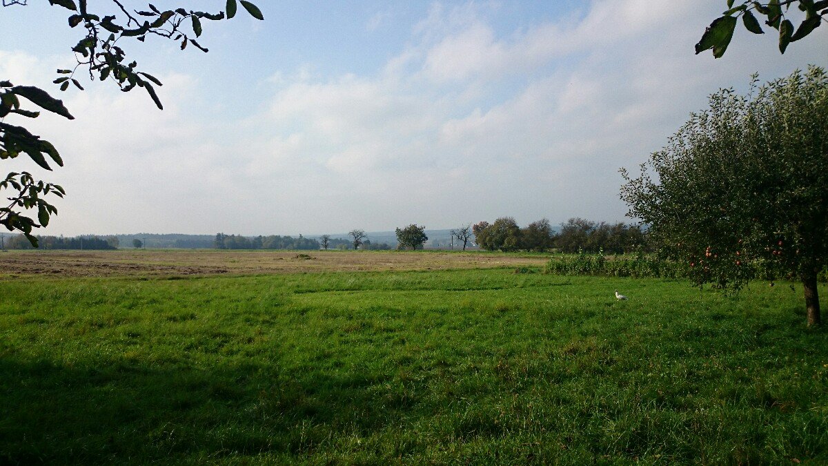 Ratibořské Hory