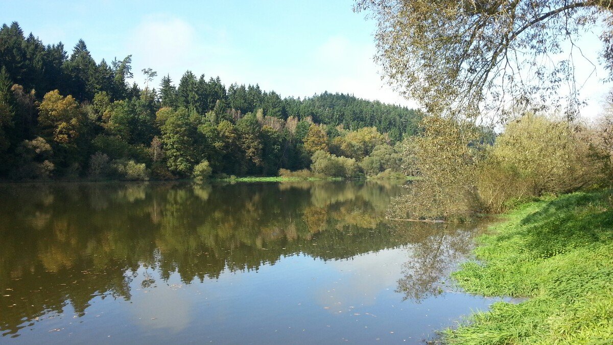Pašovice
