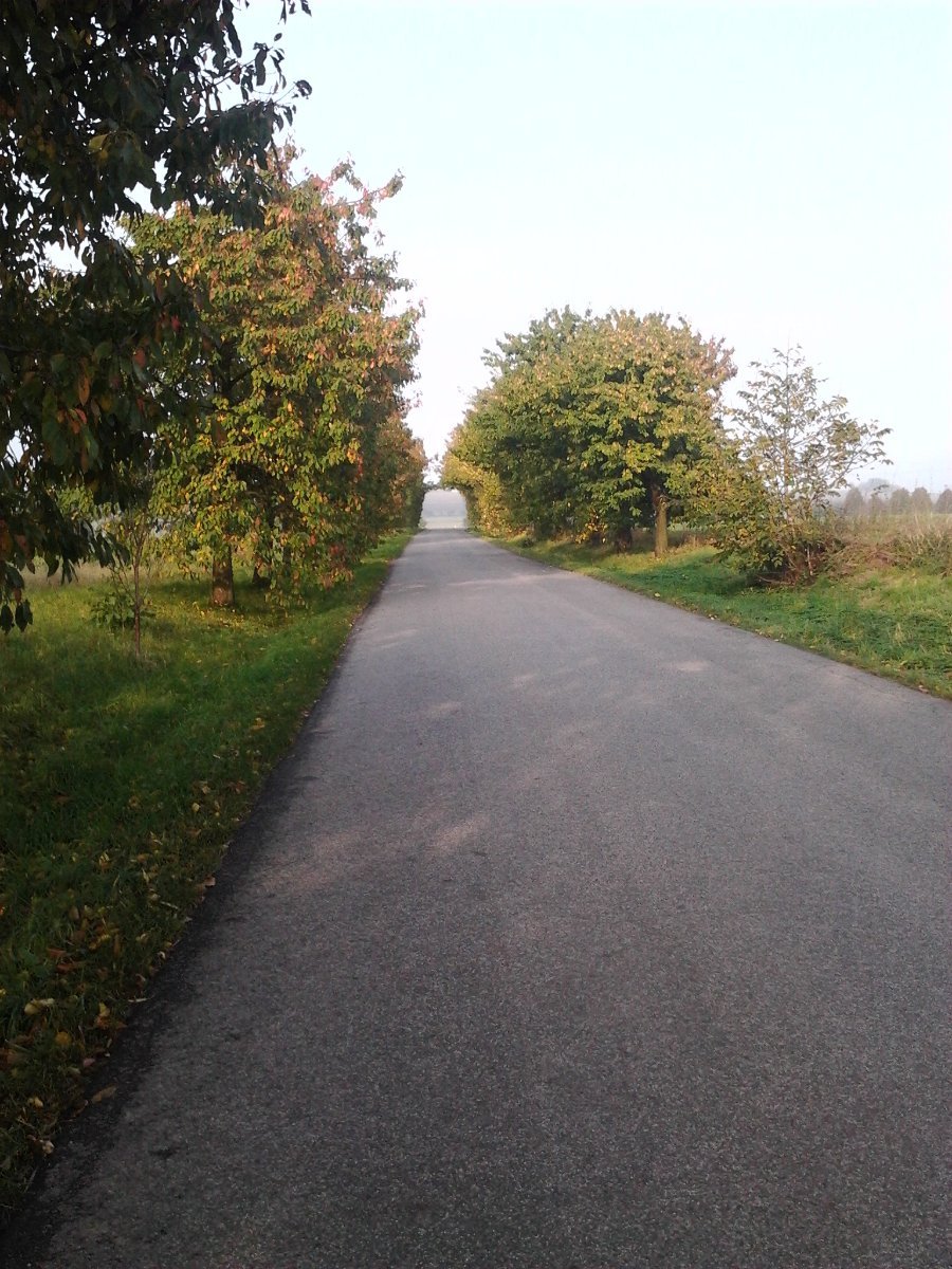 Mžany