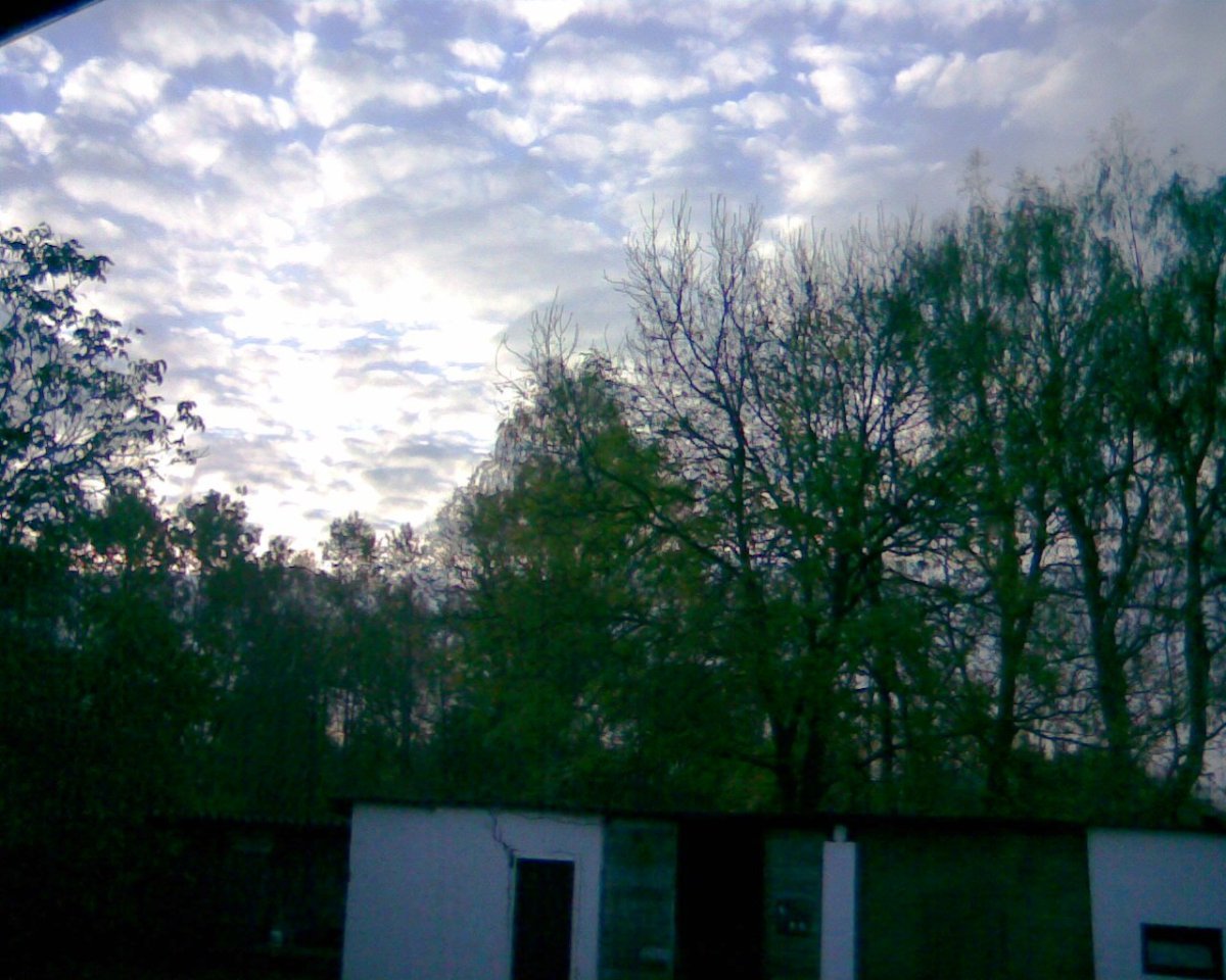 Štědrá