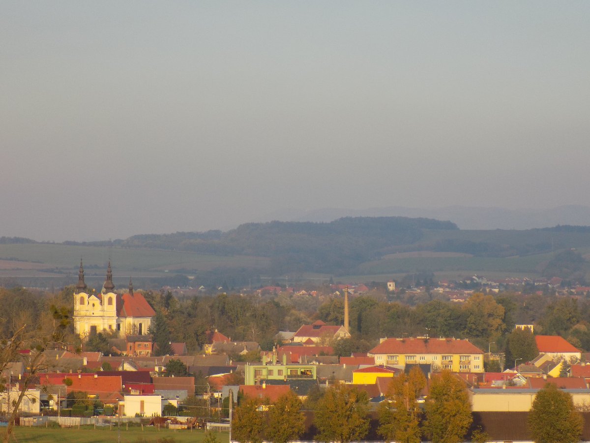 Kvasice