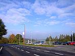 Borovina