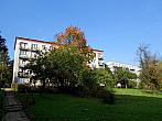 Borovina