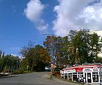 Borovina