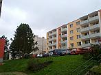 Borovina