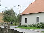 Třibřichy