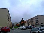 Borovina