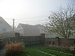 Třibřichy