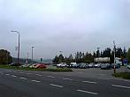 Borovina