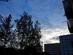 Borovina