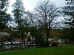 Borovina