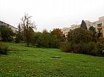 Borovina