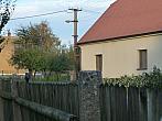 Třibřichy