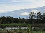 Neratovice