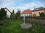 Třibřichy