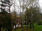 Borovina