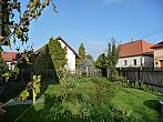 Třibřichy